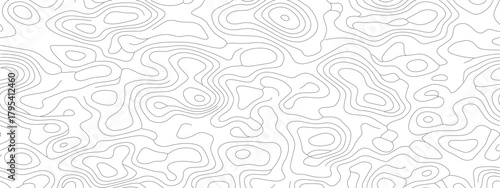 Abstract Topographic Map A Detailed Contour Landscape.