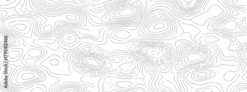 Abstract Topographic Map A Detailed Contour Landscape 1.