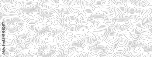 Abstract Topographic Map A Textured Landscape of Contours and Shadows.