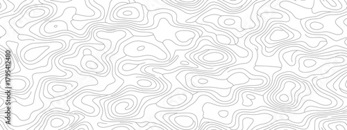 Abstract Topographic Map A Detailed White and Gray Terrain.