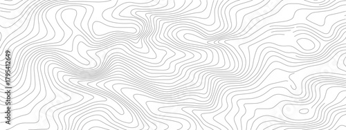 Abstract Wavy Lines Pattern with Subtle Gray Contours and Modern Design.