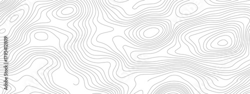 Topographic Lines A Detailed Abstract Landscape 2.
