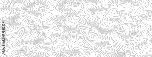 Topographic Lines A Detailed Abstract Landscape 1.