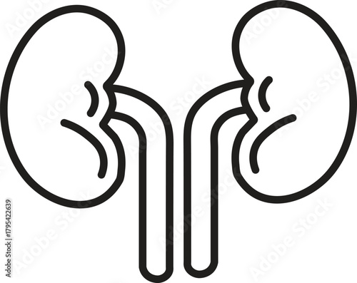 Human Kidneys Line Art Vector Icon - Medical Organ, Urology, Health and  Filtration