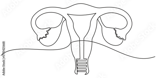 Continuous single one line drawing Uterus and ovaries, organs of female reproductive system and women's day conpect vector art illustration