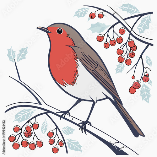 Charming european robin bird perched on a branch with red berries and holly leaves