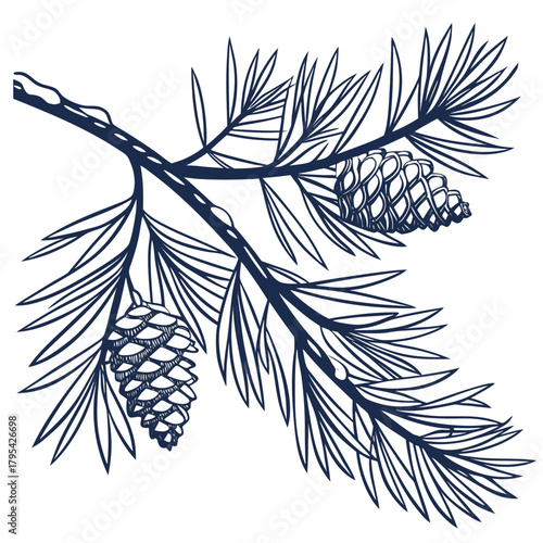 Hand drawn sketch of a pine branch with two pine cones and needles isolated on white background
