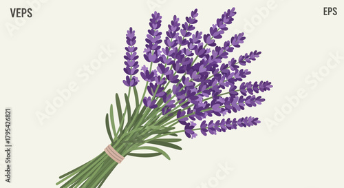 Elegant lavender bouquet illustration with soft light background for design element