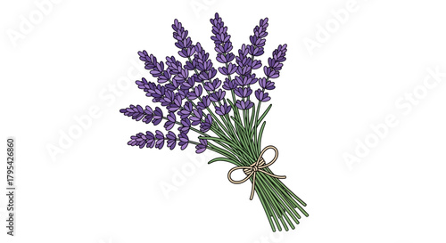 Elegant lavender sprigs tied with a delicate bow, a beautiful floral design