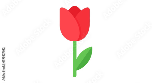 Isolated graphic illustration of a vibrant red tulip with green stem