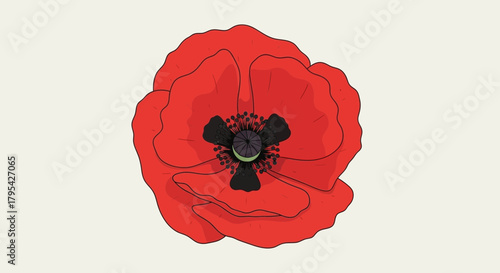 Illustration of a Vibrant Red Poppy Flower with Detailed Center Design