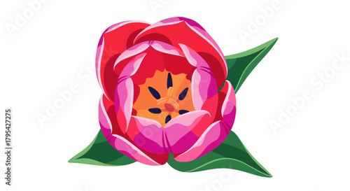 Vibrant cartoon tulip illustration against a clean white backdrop