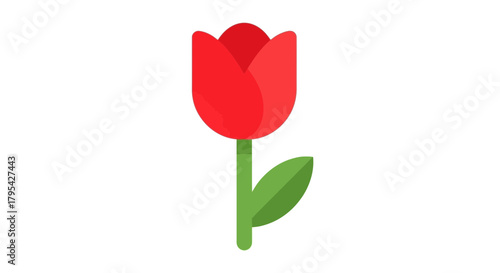 Simple yet elegant: A single red tulip illustration against a plain background