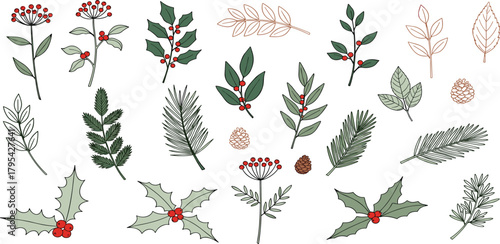 Elegant Botanical Illustrations of Winter Foliage for Festive Design Elements