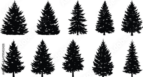 Coniferous tree silhouettes, black pine shapes, evergreen forest icons, isolated fir outlines, botanical illustration, nature design elements, vector trees