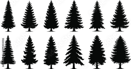 Coniferous tree silhouettes, black pine shapes, evergreen forest icons, isolated fir outlines, nature elements, botanical design, forestry illustration, vector trees