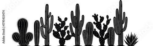 Collection of diverse desert cactus silhouettes in a row against a white background