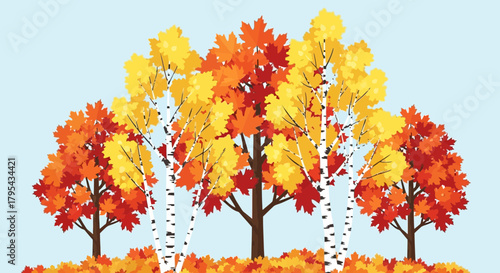 Autumnal deciduous forest illustration with colorful foliage and birch trees
