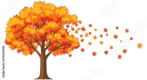 Autumnal tree shedding leaves in a gentle wind representing the season