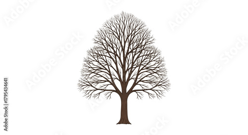 Detailed illustration of a leafless tree with textured brown bark and branches