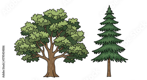 Illustration showcasing two distinct trees on a clean white background