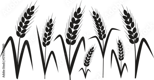 Black and white wheat field vector art agricultural crops illustration