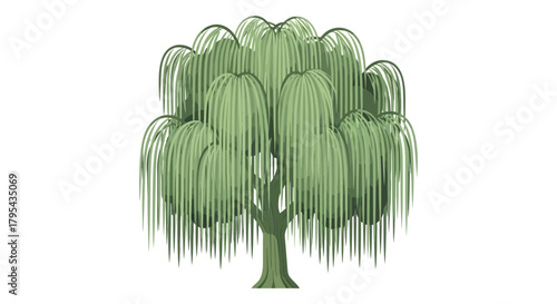 Lush green weeping willow tree illustration isolated on white background
