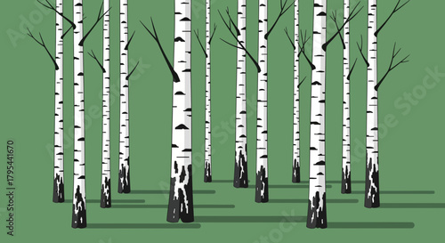 Stylized birch tree forest illustration against a solid green backdrop