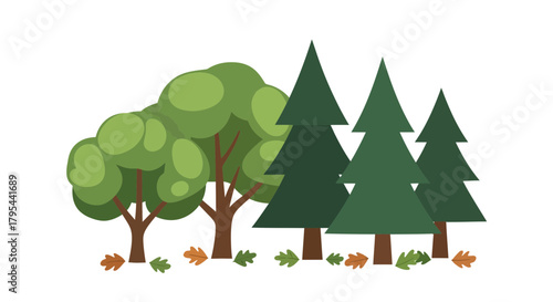 Stylized cartoon illustration featuring deciduous and coniferous trees