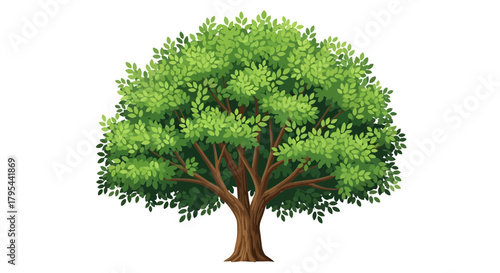 Stylized Green Tree Illustration with Lush Foliage on a White Background