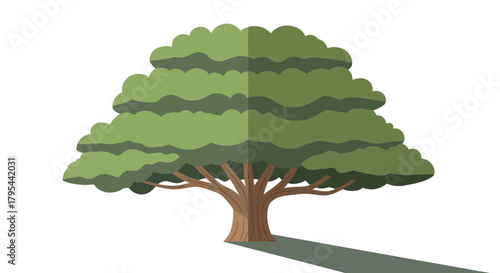 Stylized tree with dense foliage and long shadow for eco concepts