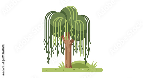 Stylized Weeping Willow Illustration with Flat Design Aesthetic for Projects