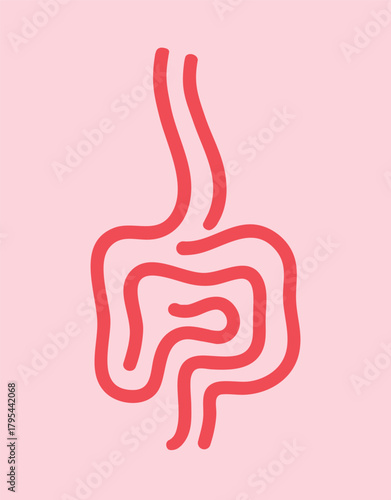 Digestive system icon set, small and large intestines, digestion