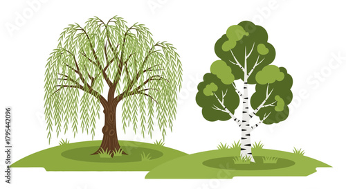 Stylized willow and birch trees illustration on green grass field design