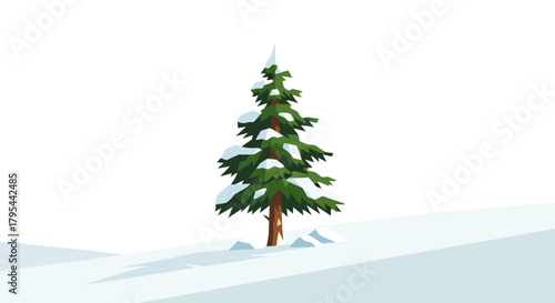 Winter scene featuring a solitary fir tree covered in snow against white
