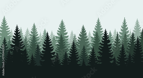 Silhouette of Evergreen Trees Creating a Forest Landscape Illustration