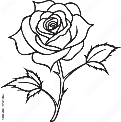 Single rose with thorns and leaves — detailed close-up, high resolution
