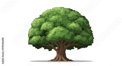 Single lush green tree on plain white background, vibrant foliage isolated illustration