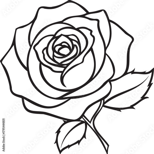 Single rose with thorns and artful negative space, minimalist floral photo