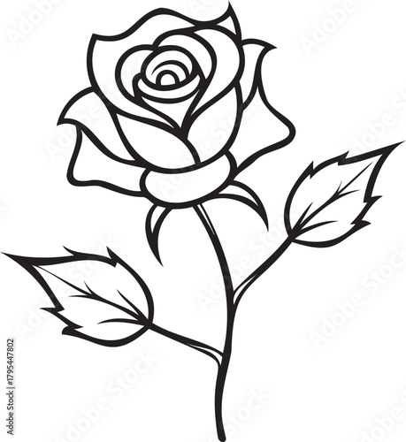 Single rose with thorns and detailed veins in leaves, studio macro