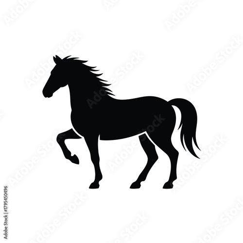 Silhouette of a majestic black horse standing proudly