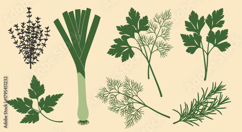 A collection of fresh green herbs and leeks for culinary use in cooking.