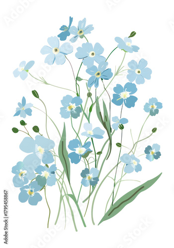 Wallpaper Mural PNG Light blue wildflowers art illustration asteraceae. Torontodigital.ca