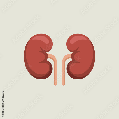 Stylized illustration of human kidneys with connecting tubes