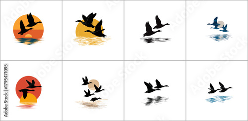 Collage of flying geese over water, vector design