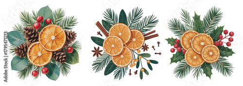 Watercolor-style holiday illustration of dried orange slices with pine branches, holly berries, pine cones, and cloves arranged in three symmetrical decorative compositions
