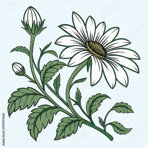Vector illustration set of flowers and camomile with a floral pattern design element