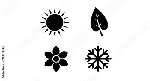 Four seasons Sun, leaf, flower and snowflake