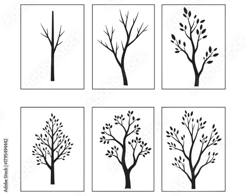 Tree growth stages life cycle progression vector illustration