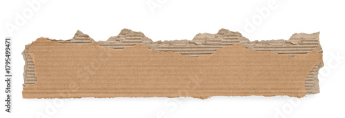 Torn cardboard background on Transparent Background png